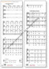 Johannespassion (Freiberger Passion) - Partitur