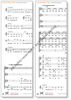 Johannespassion (Freiberger Passion) - Partitur