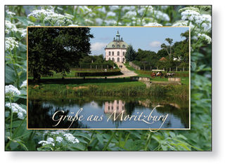 Postkarte Moritzburg Motiv 04 I im 25er Pack