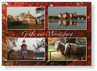 Postkarte Moritzburg Motiv 07 I im 25er Pack