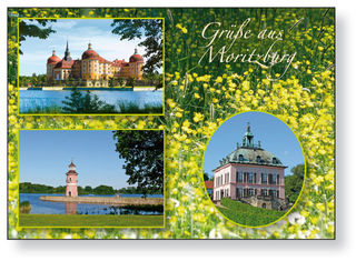 Postkarte Moritzburg Motiv 11 I im 25er Pack