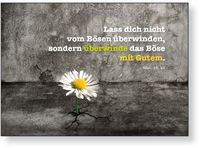 Jahreslosung 2011 | Postkarte ab 0,24 EUR | im 25er Pack