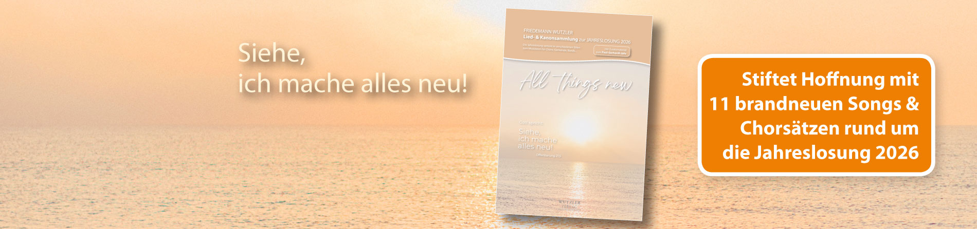 Songs voller Hoffnung , 11 neue Mutmach-Lieder voller Vielfalt auf 36 Seiten rund um die Jahreslosung und zum Paul-Gerhardt-Jahr...